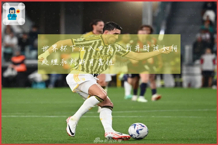 世界杯下注入口无法打开时该如何处理和判断可靠性