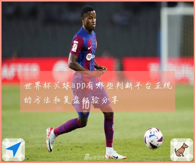 世界杯买球app有哪些判断平台正规的方法和复盘经验分享