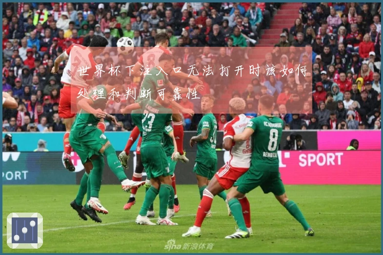 世界杯下注入口无法打开时该如何处理和判断可靠性