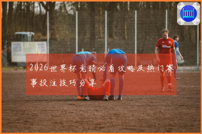 2026世界杯竞猜必看攻略及热门赛事投注技巧分享