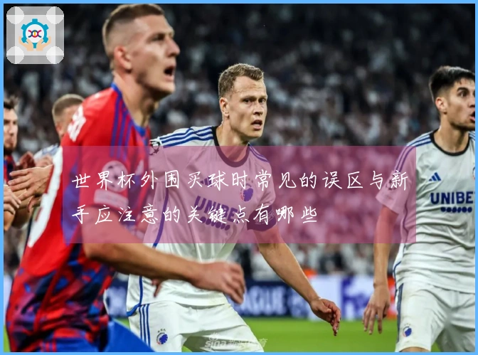 世界杯外围买球时常见的误区与新手应注意的关键点有哪些