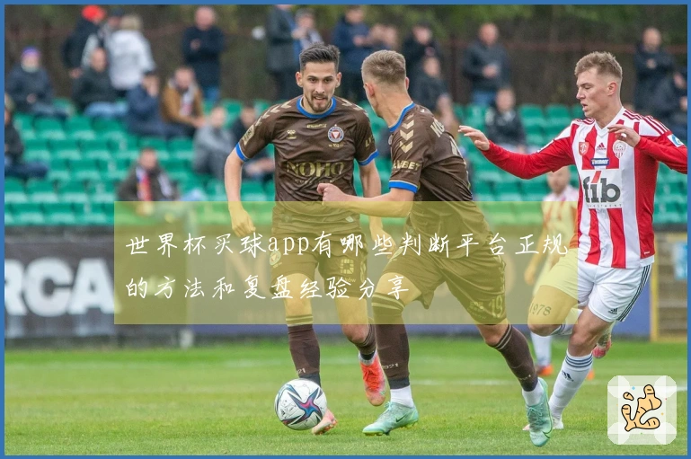 世界杯买球app有哪些判断平台正规的方法和复盘经验分享