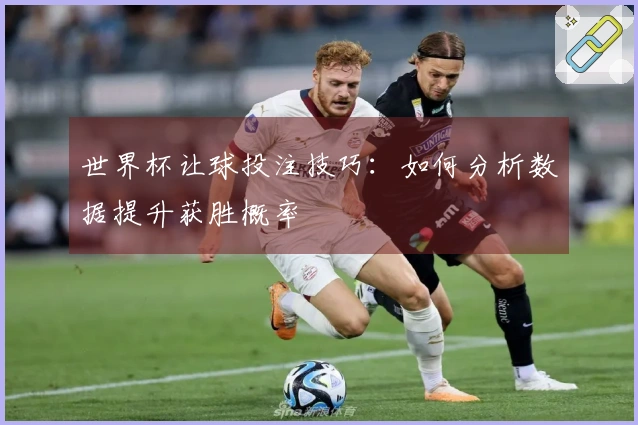 世界杯让球投注技巧：如何分析数据提升获胜概率