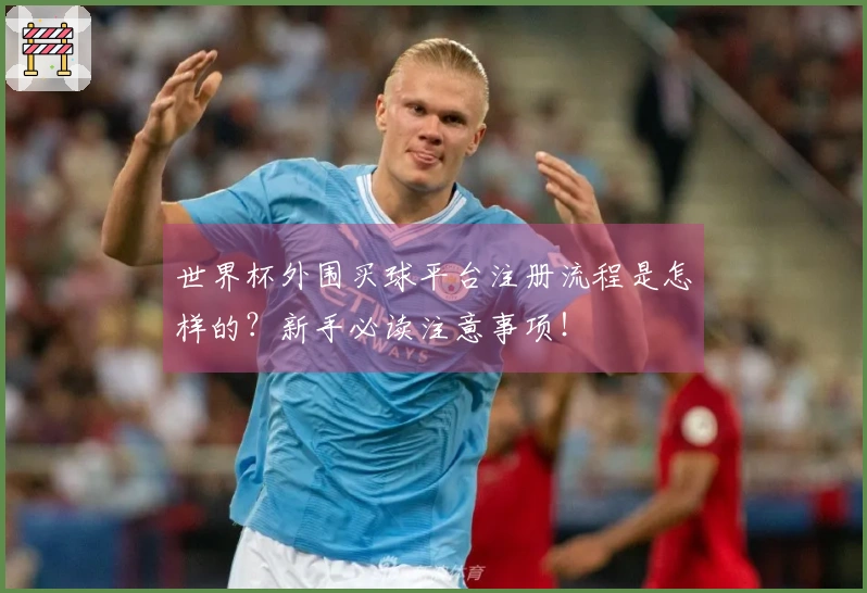世界杯外围买球平台注册流程是怎样的？新手必读注意事项！