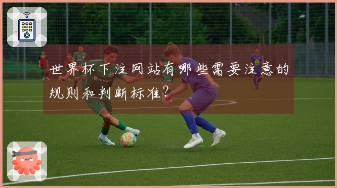 世界杯下注网站有哪些需要注意的规则和判断标准?