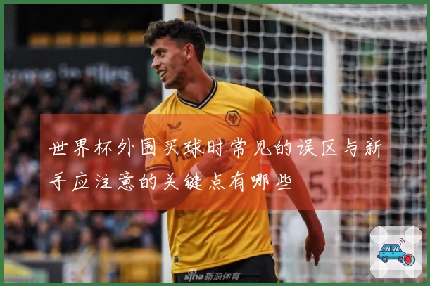 世界杯外围买球时常见的误区与新手应注意的关键点有哪些