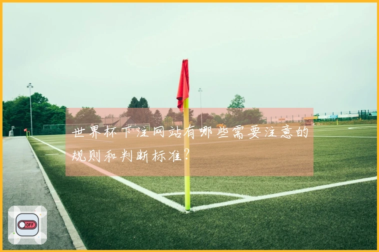 世界杯下注网站有哪些需要注意的规则和判断标准？