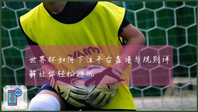 世界杯如何下注平台靠谱与规则详解让你轻松避坑