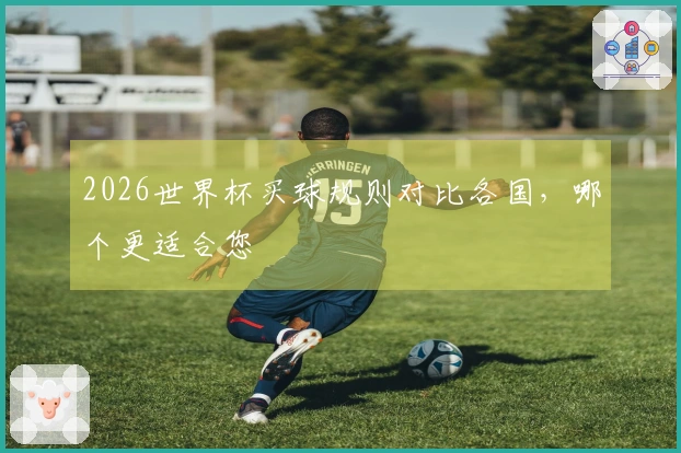 2026世界杯买球规则对比各国，哪个更适合您